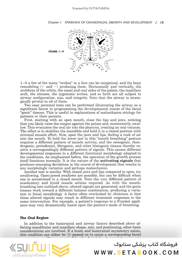 Essentials of Facial Growth