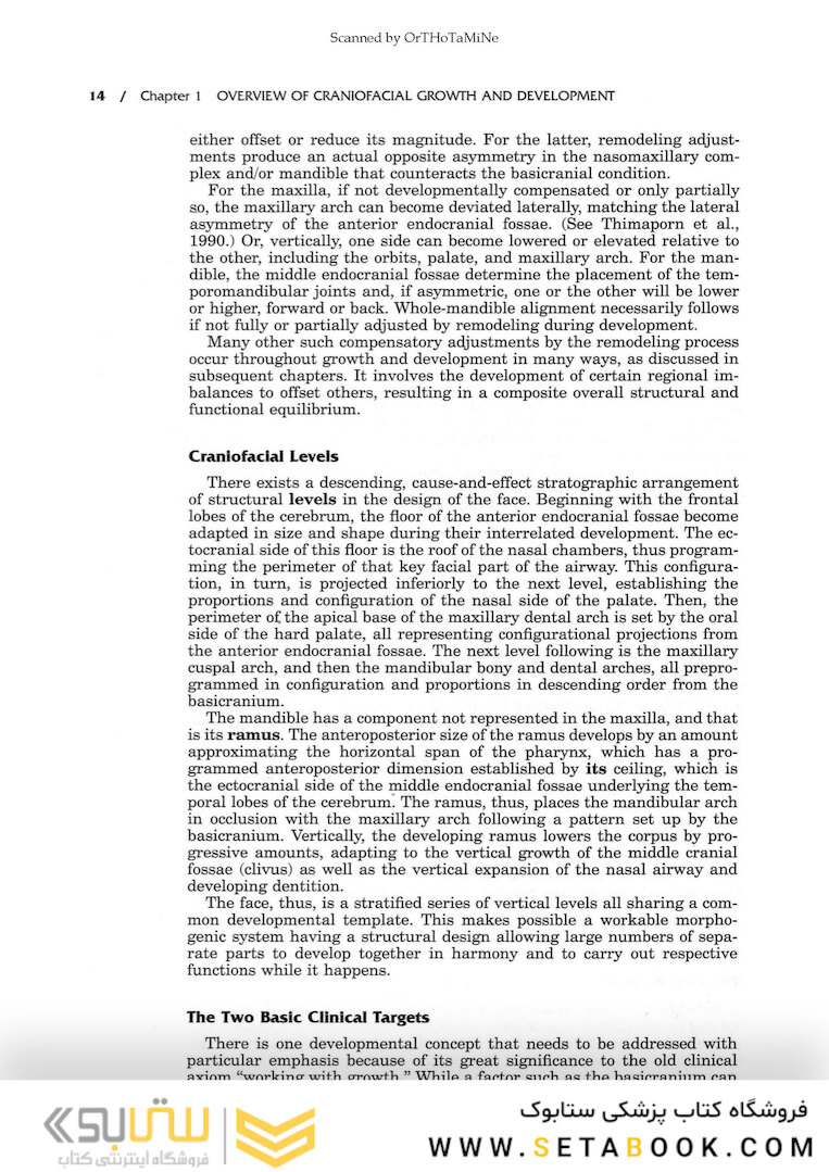 Essentials of Facial Growth