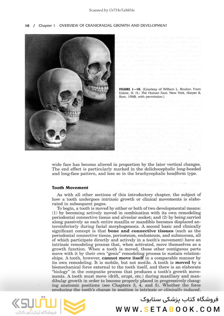 Essentials of Facial Growth