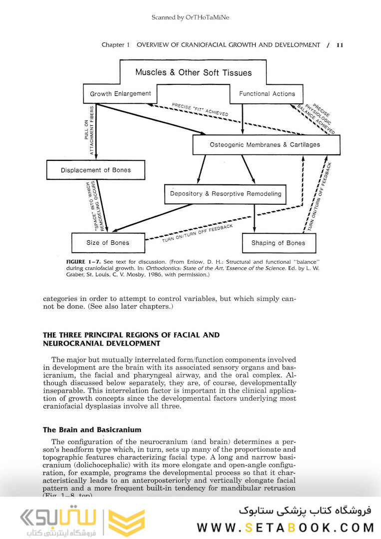 Essentials of Facial Growth