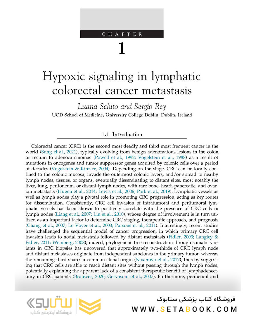 The Lymphatic System in Colorectal Cancer : Basic Concepts, Pathology, Imaging, and Treatment Perspectives