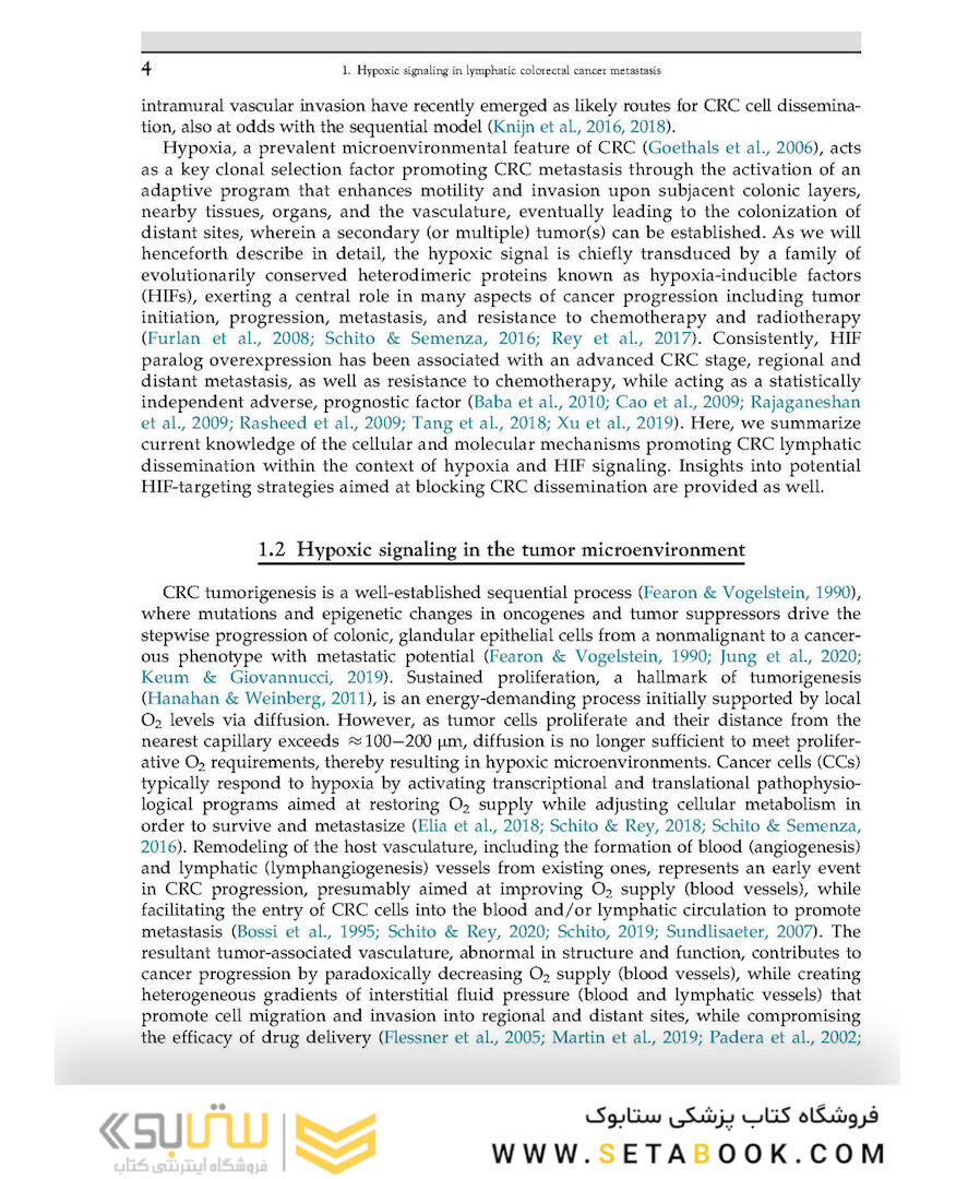 The Lymphatic System in Colorectal Cancer : Basic Concepts, Pathology, Imaging, and Treatment Perspectives
