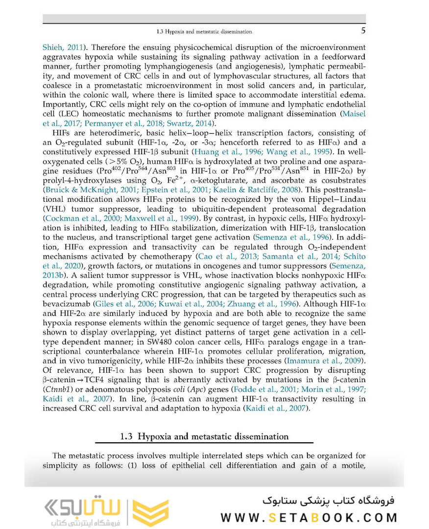 The Lymphatic System in Colorectal Cancer : Basic Concepts, Pathology, Imaging, and Treatment Perspectives