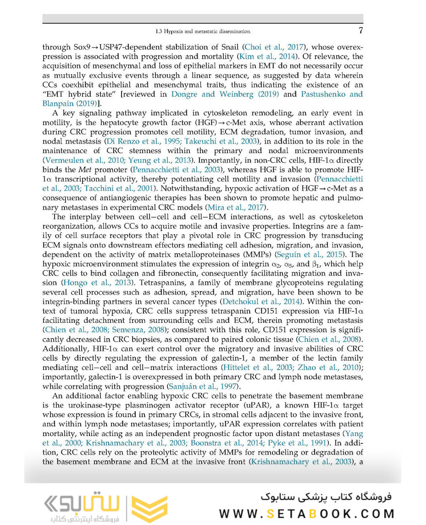 The Lymphatic System in Colorectal Cancer : Basic Concepts, Pathology, Imaging, and Treatment Perspectives
