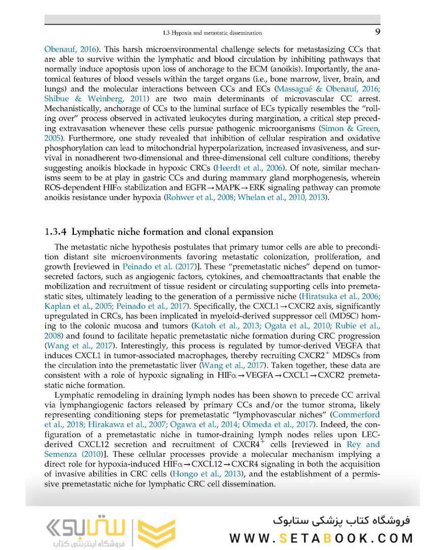 The Lymphatic System in Colorectal Cancer : Basic Concepts, Pathology, Imaging, and Treatment Perspectives