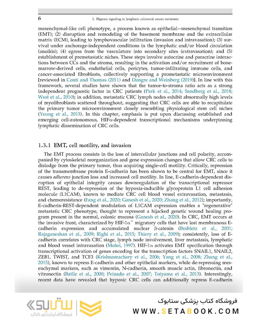The Lymphatic System in Colorectal Cancer : Basic Concepts, Pathology, Imaging, and Treatment Perspectives