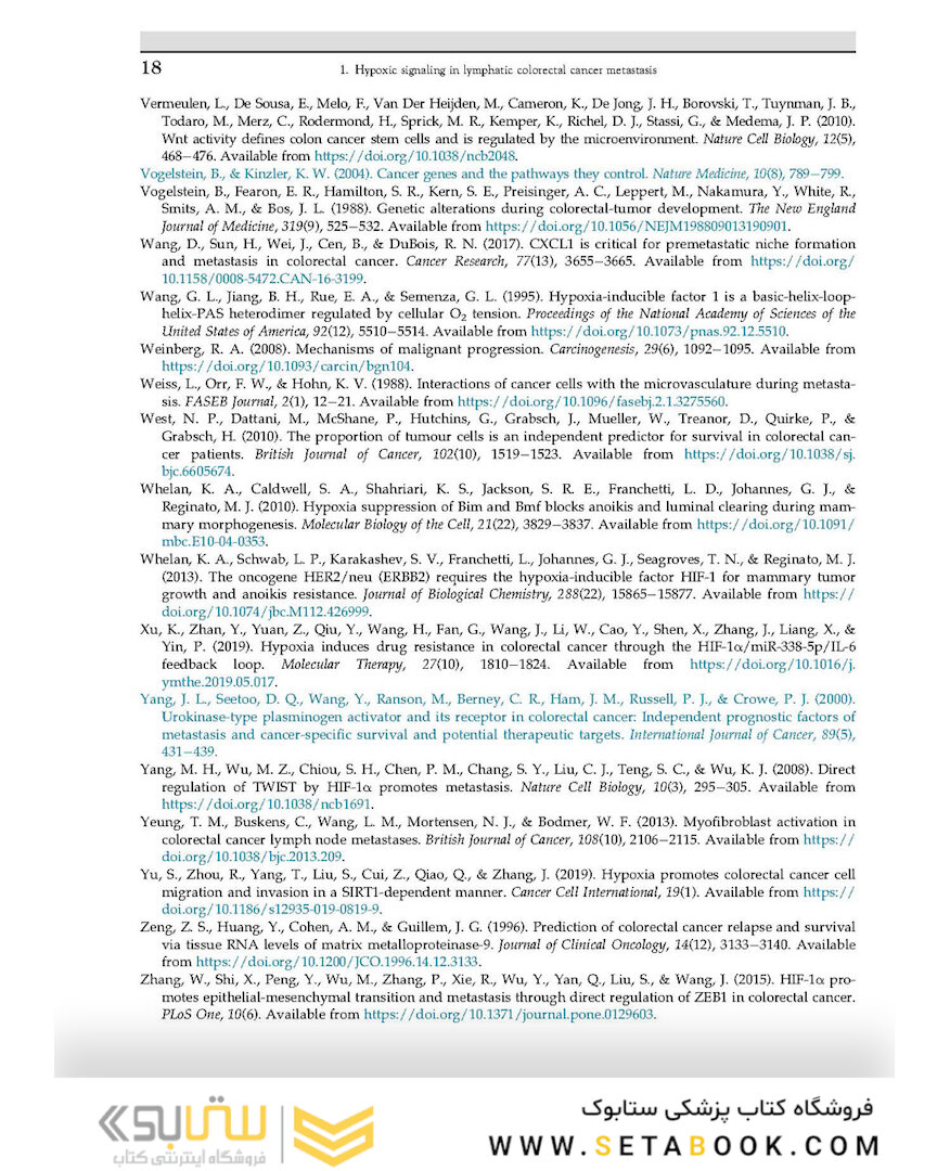 The Lymphatic System in Colorectal Cancer : Basic Concepts, Pathology, Imaging, and Treatment Perspectives