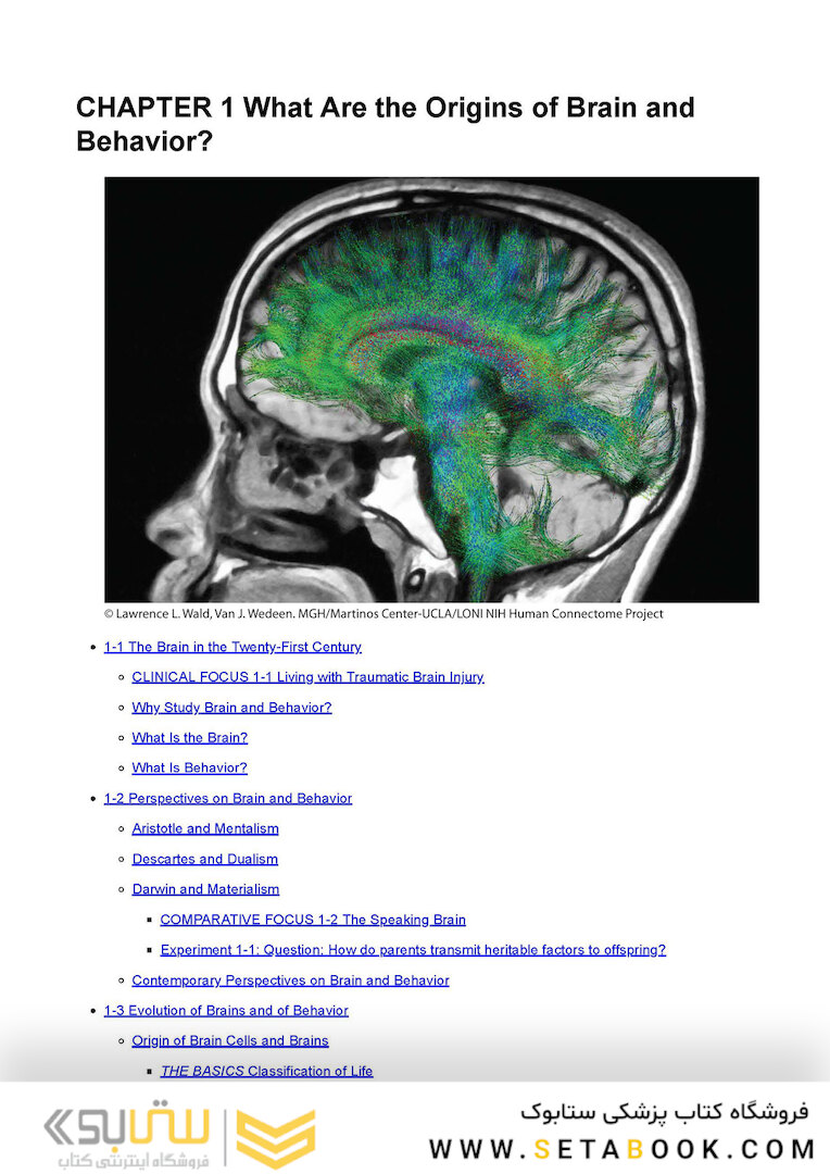 An Introduction to Brain and Behavior Sixth Edicion