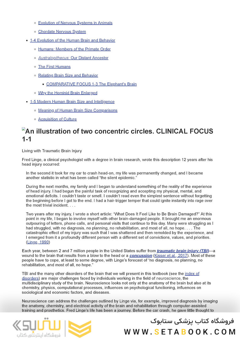 An Introduction to Brain and Behavior Sixth Edicion