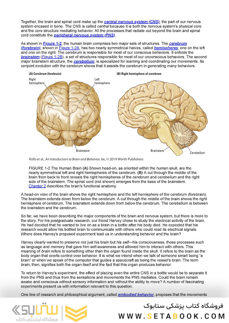 An Introduction to Brain and Behavior Sixth Edicion
