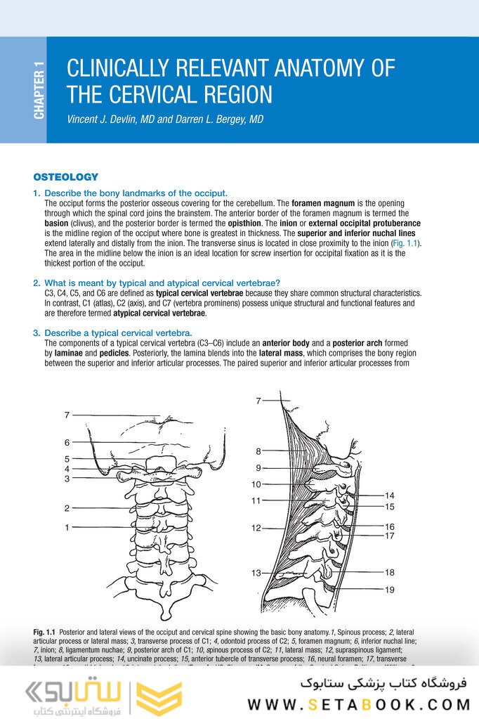 Spine Secrets 3rd Edición