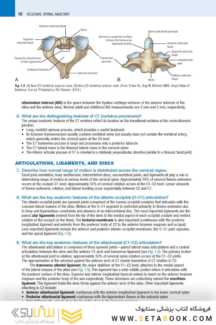 Spine Secrets 3rd Edición