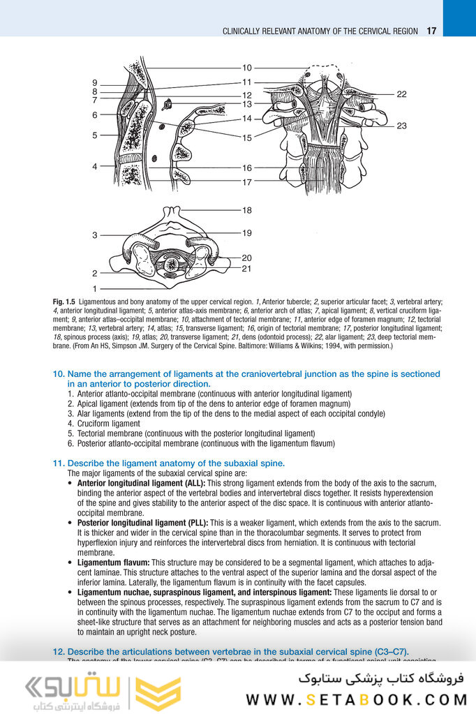 Spine Secrets 3rd Edición
