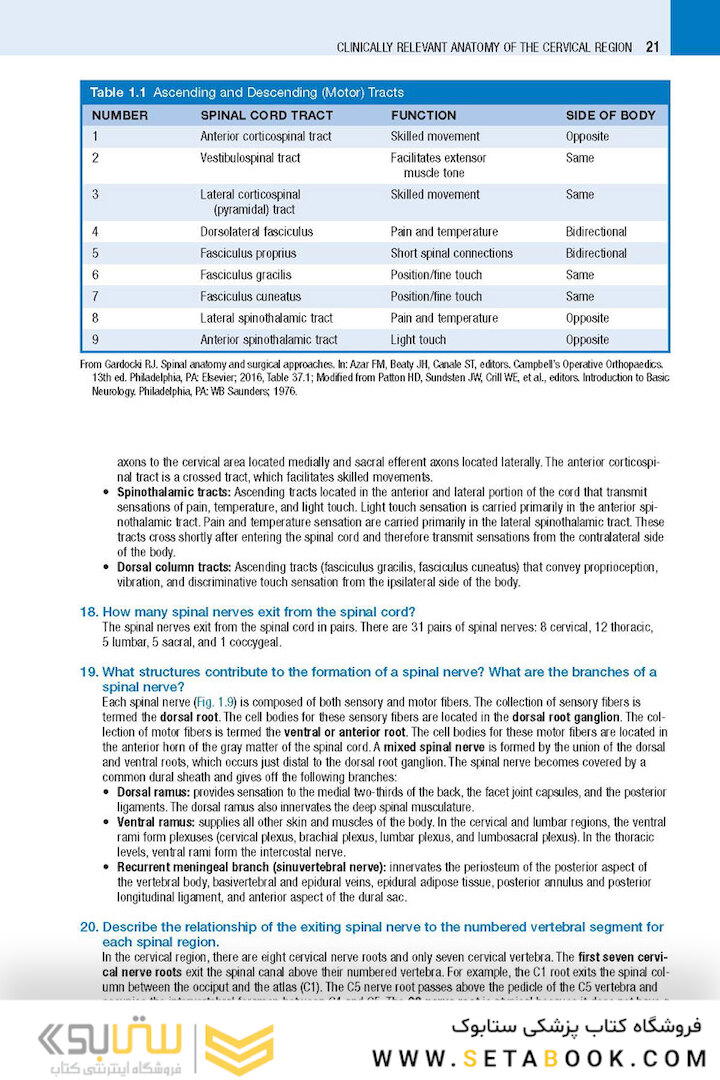 Spine Secrets 3rd Edición