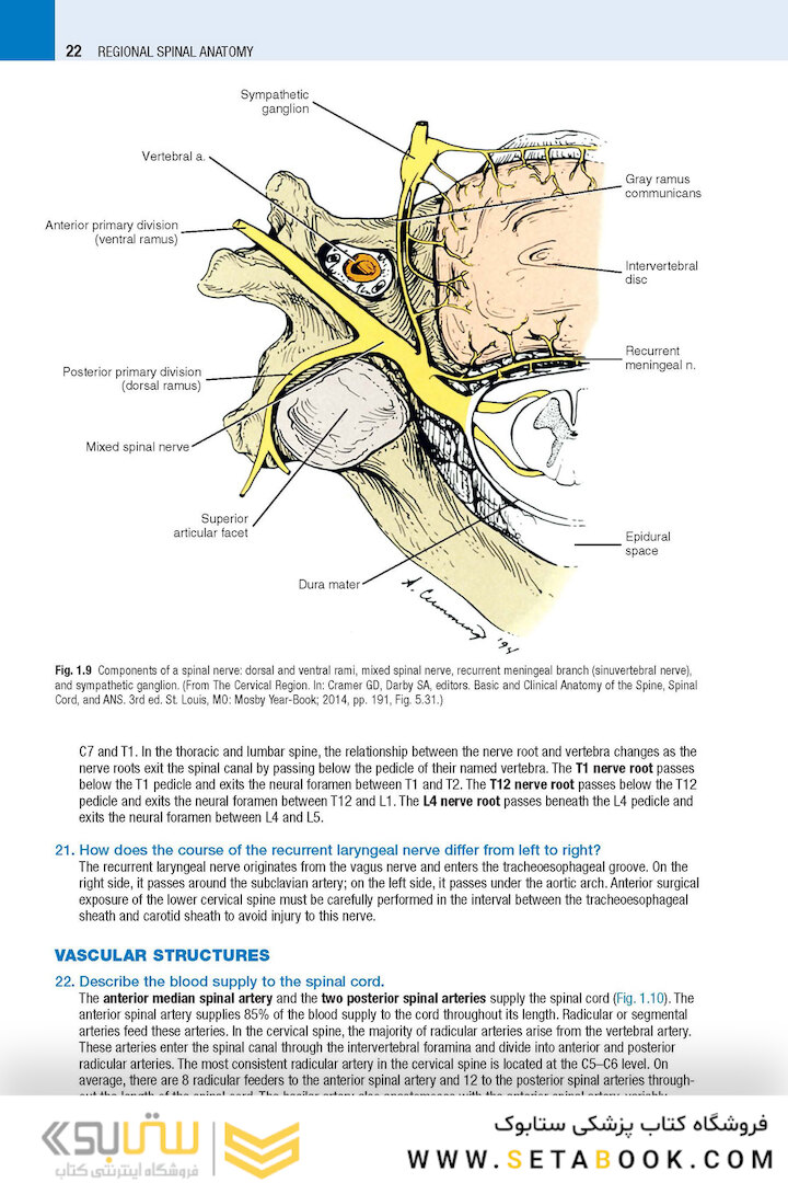 Spine Secrets 3rd Edición