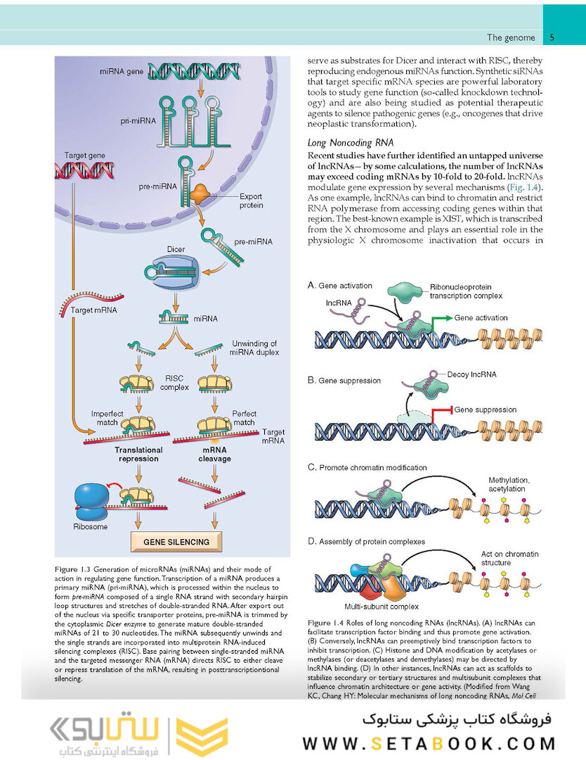 Robbins - Cotran Pathologic Basis of Disease (Robbins Pathology) 10th Edition