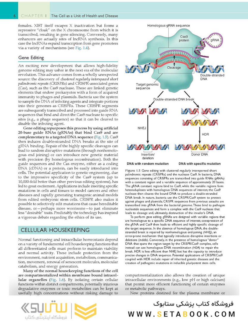 Robbins - Cotran Pathologic Basis of Disease (Robbins Pathology) 10th Edition