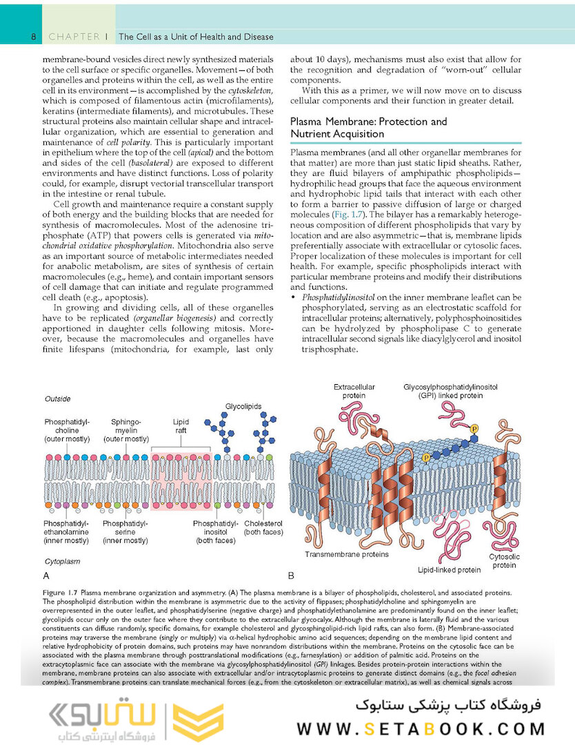 Robbins - Cotran Pathologic Basis of Disease (Robbins Pathology) 10th Edition
