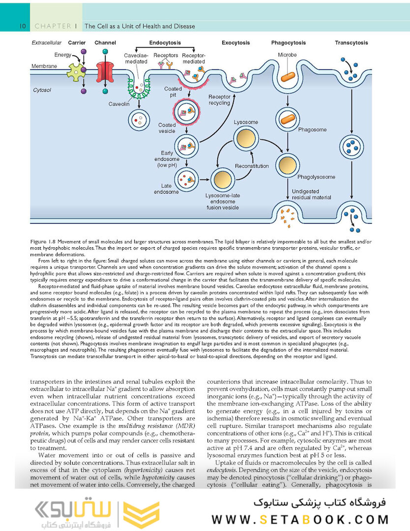 Robbins - Cotran Pathologic Basis of Disease (Robbins Pathology) 10th Edition