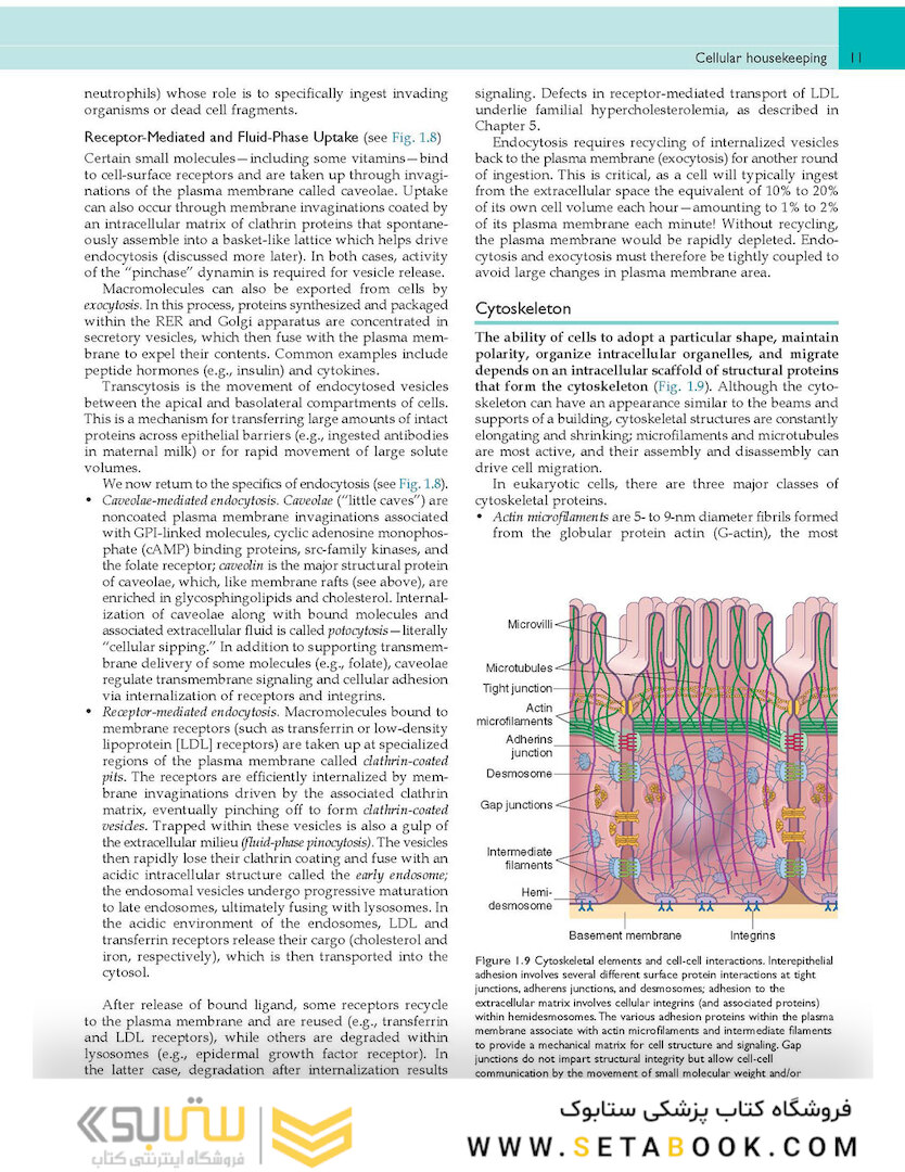 Robbins - Cotran Pathologic Basis of Disease (Robbins Pathology) 10th Edition