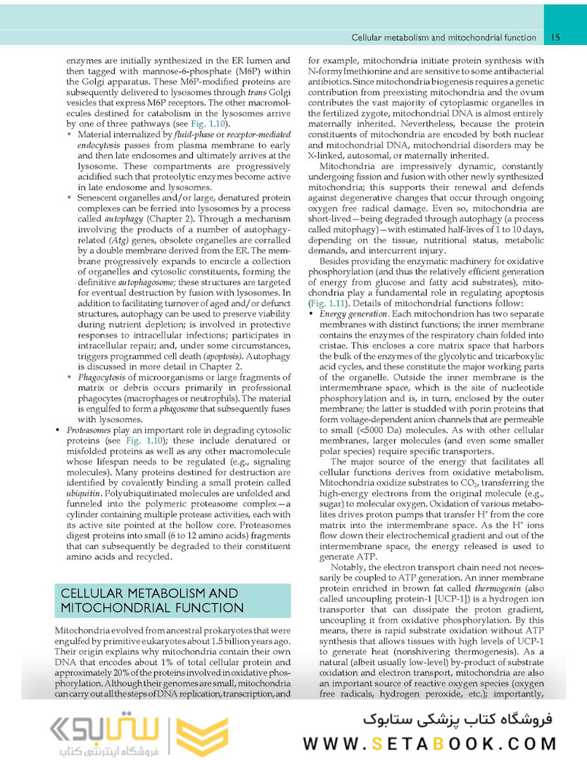 Robbins - Cotran Pathologic Basis of Disease (Robbins Pathology) 10th Edition