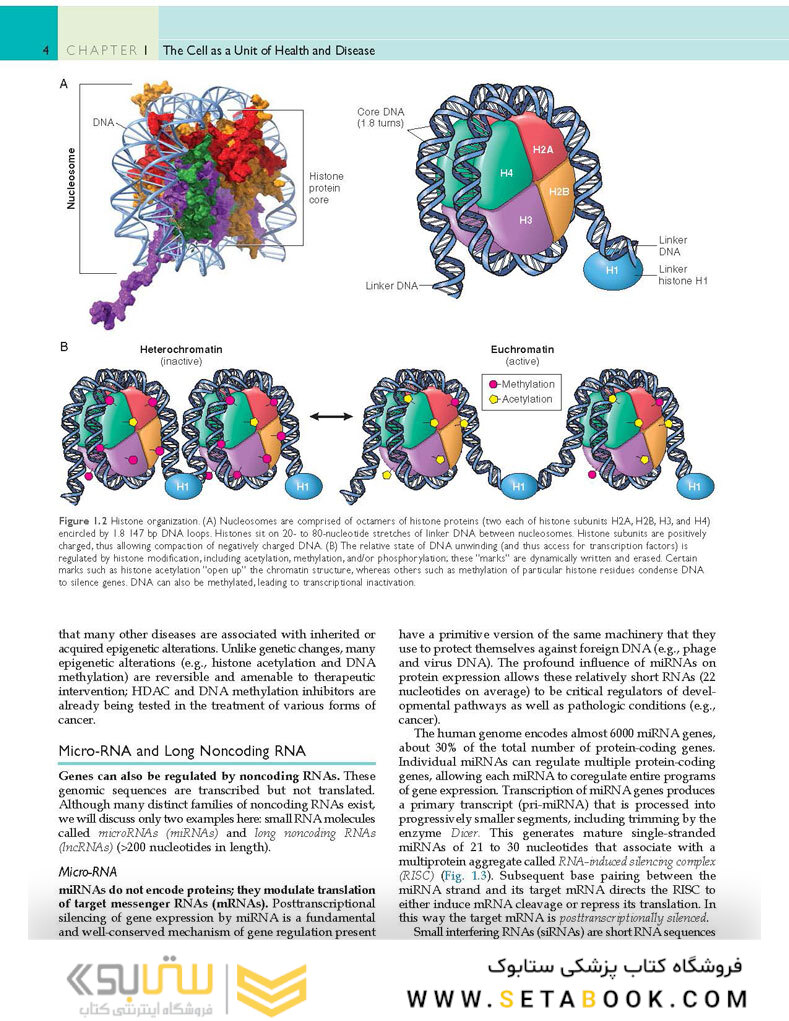 Robbins - Cotran Pathologic Basis of Disease (Robbins Pathology) 10th Edition
