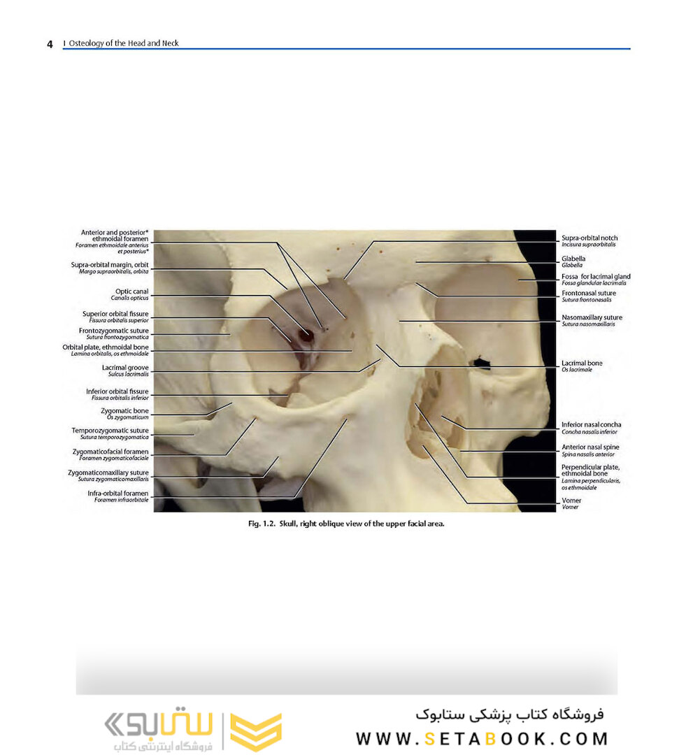 Rhoton’s Atlas of Head, Neck, and Brain