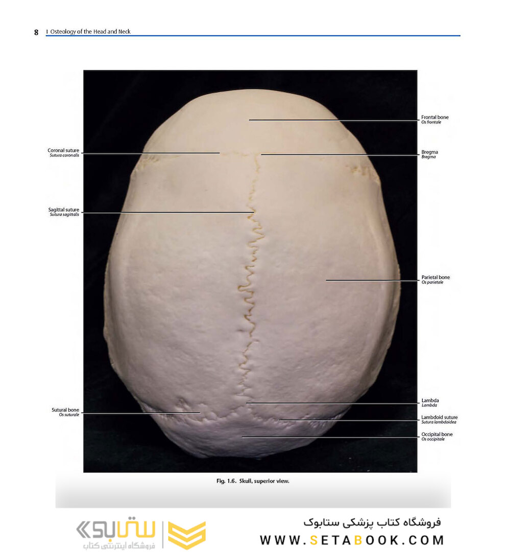 Rhoton’s Atlas of Head, Neck, and Brain