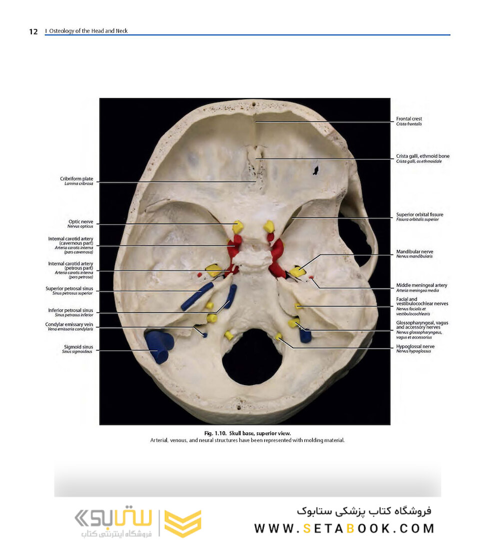 Rhoton’s Atlas of Head, Neck, and Brain