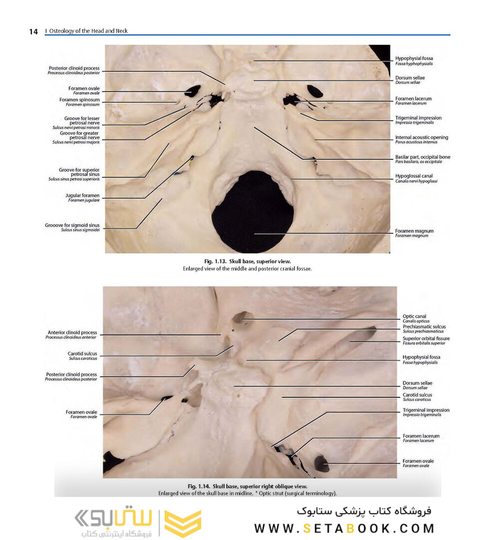 Rhoton’s Atlas of Head, Neck, and Brain
