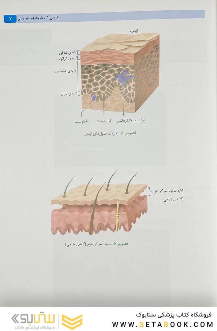 راهنمای گام به گام مزوتراپی