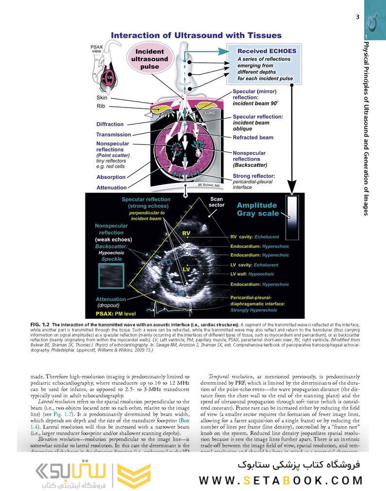 Essential Echocardiography: A Companion to Braunwald’s Heart Disease 1st Edicion