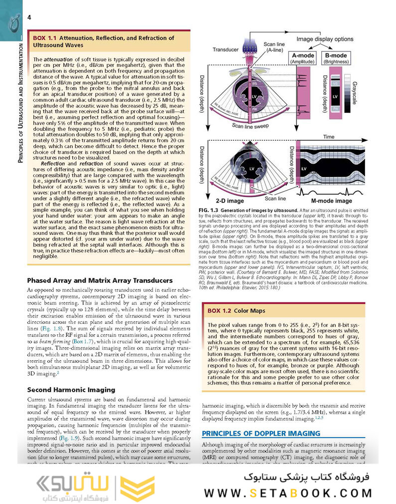 Essential Echocardiography: A Companion to Braunwald’s Heart Disease 1st Edicion