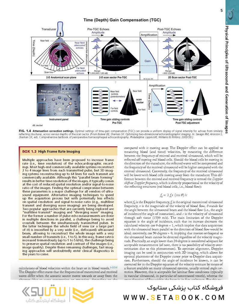 Essential Echocardiography: A Companion to Braunwald’s Heart Disease 1st Edicion