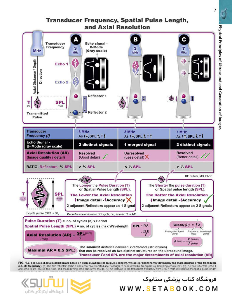 Essential Echocardiography: A Companion to Braunwald’s Heart Disease 1st Edicion