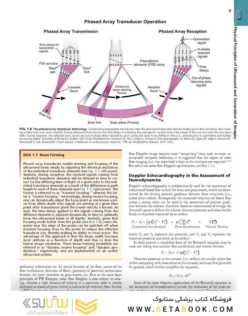 Essential Echocardiography: A Companion to Braunwald’s Heart Disease 1st Edicion