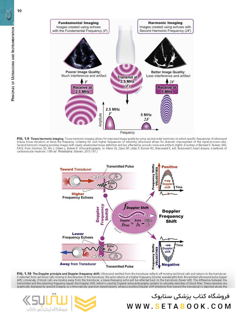 Essential Echocardiography: A Companion to Braunwald’s Heart Disease 1st Edicion