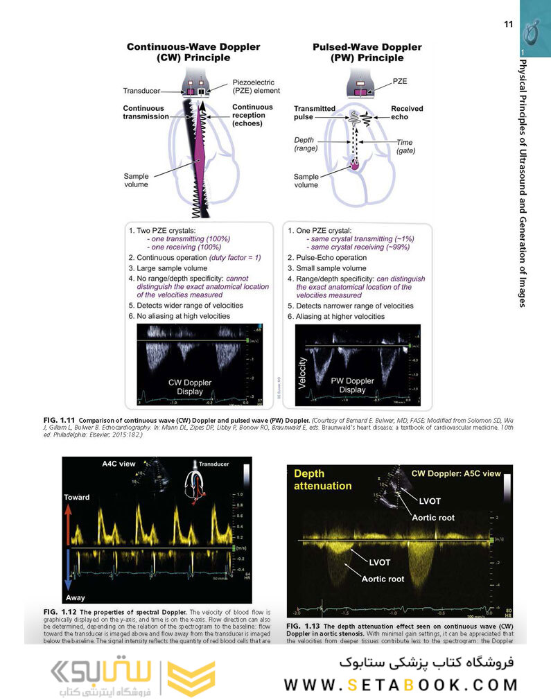 Essential Echocardiography: A Companion to Braunwald’s Heart Disease 1st Edicion