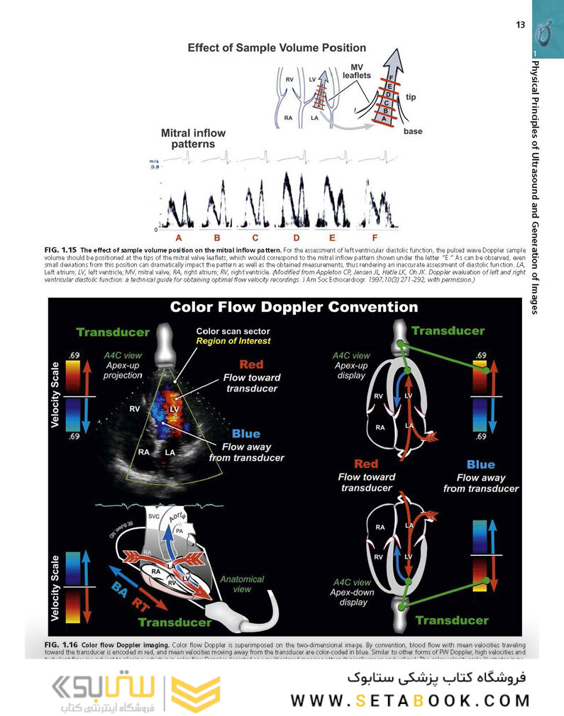Essential Echocardiography: A Companion to Braunwald’s Heart Disease 1st Edicion