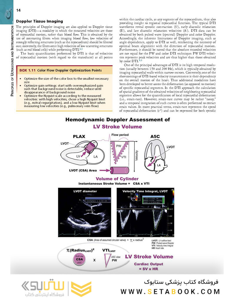 Essential Echocardiography: A Companion to Braunwald’s Heart Disease 1st Edicion