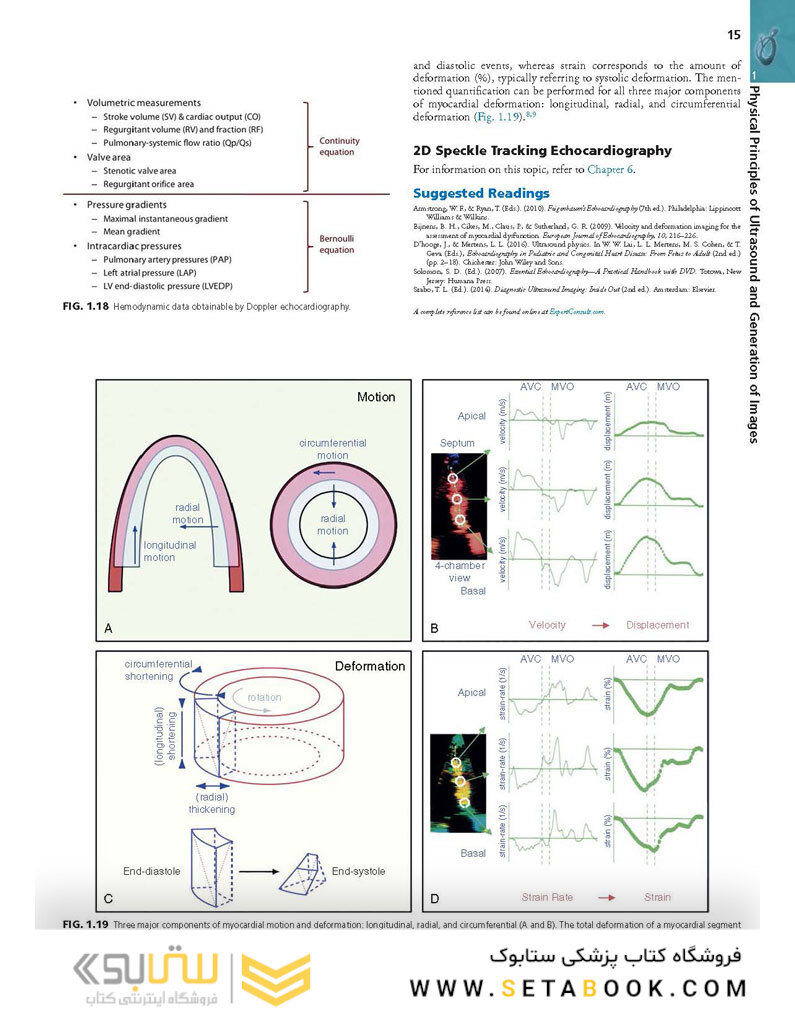 Essential Echocardiography: A Companion to Braunwald’s Heart Disease 1st Edicion