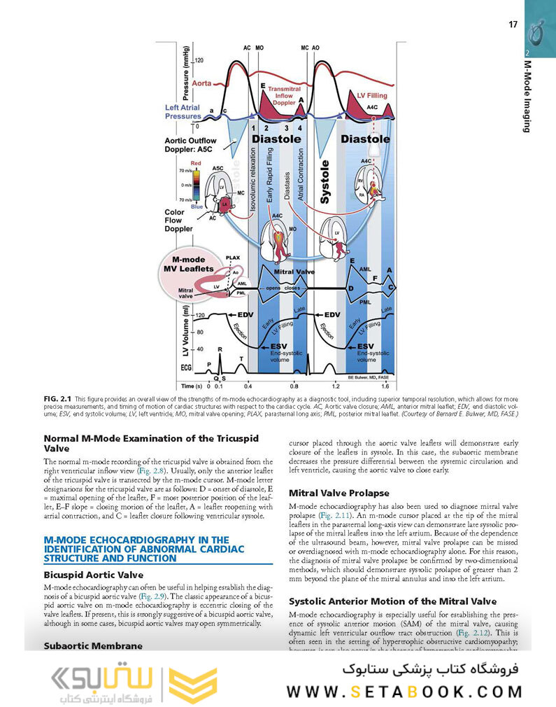 Essential Echocardiography: A Companion to Braunwald’s Heart Disease 1st Edicion