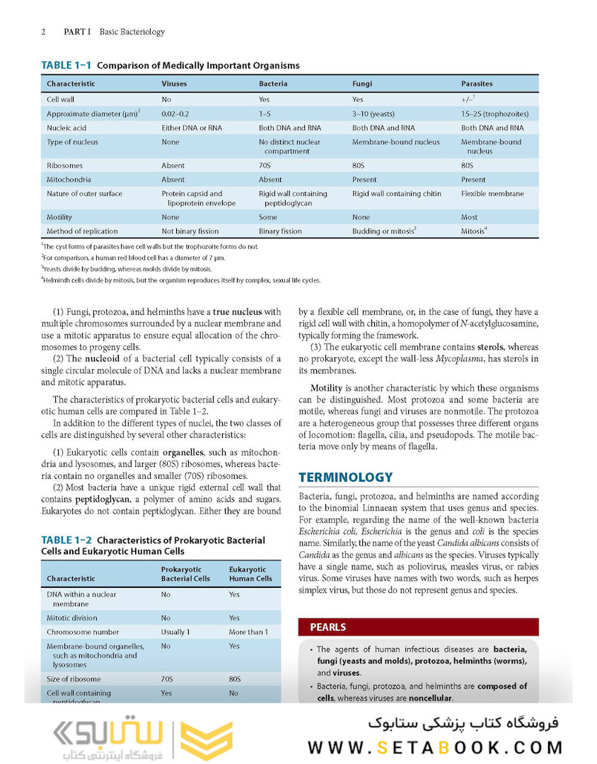 Review of Medical Microbiology and Immunology, Seventeenth Edition 17th Edicion