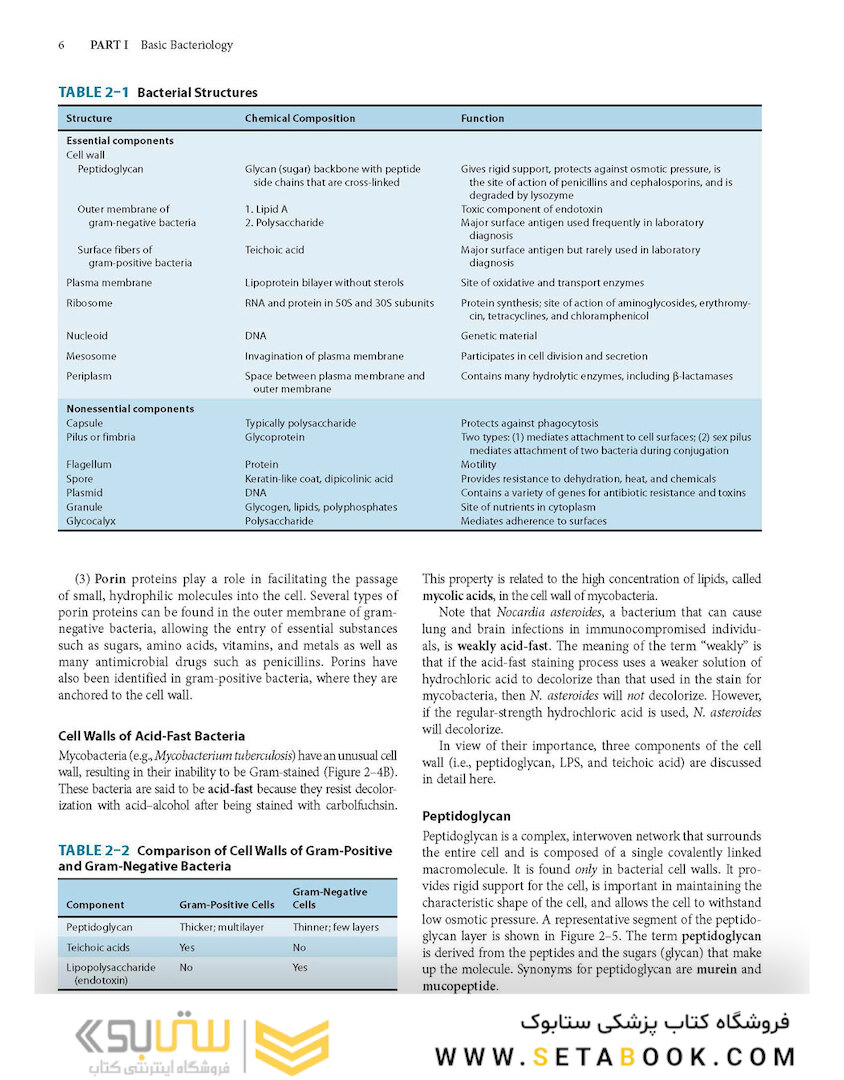 Review of Medical Microbiology and Immunology, Seventeenth Edition 17th Edicion