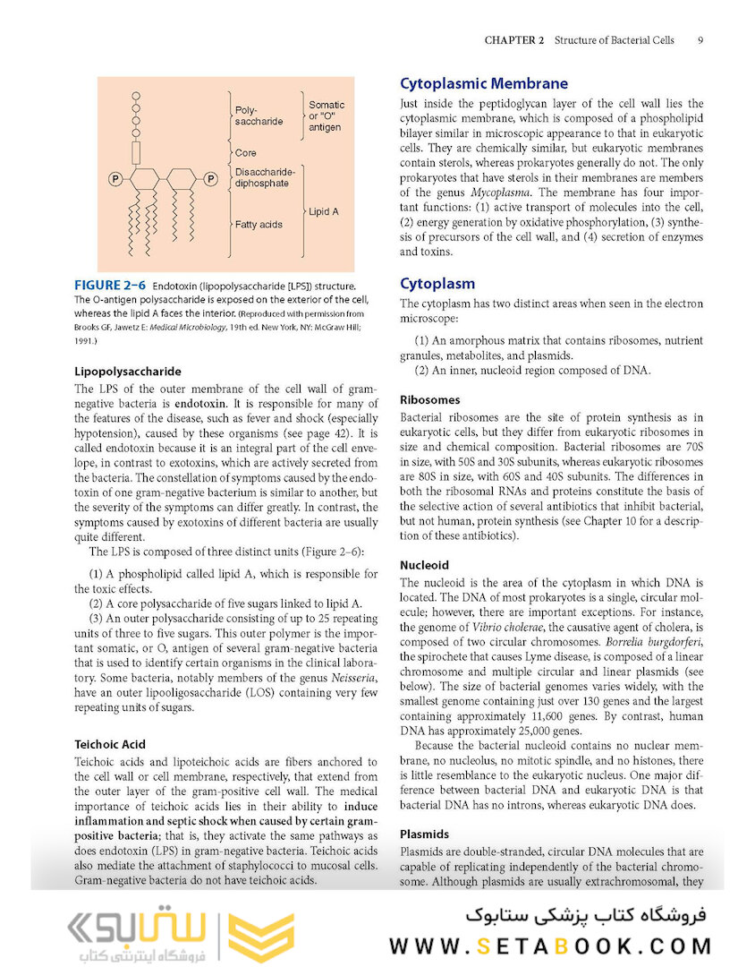 Review of Medical Microbiology and Immunology, Seventeenth Edition 17th Edicion
