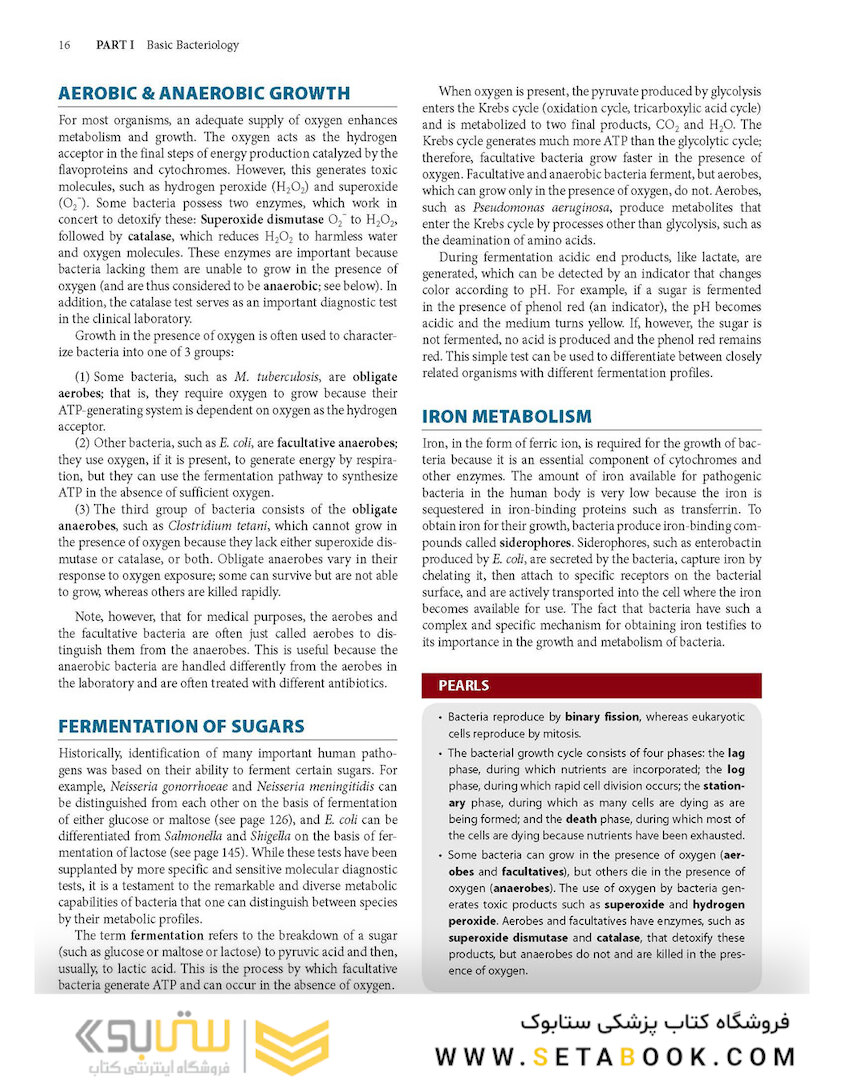 Review of Medical Microbiology and Immunology, Seventeenth Edition 17th Edicion