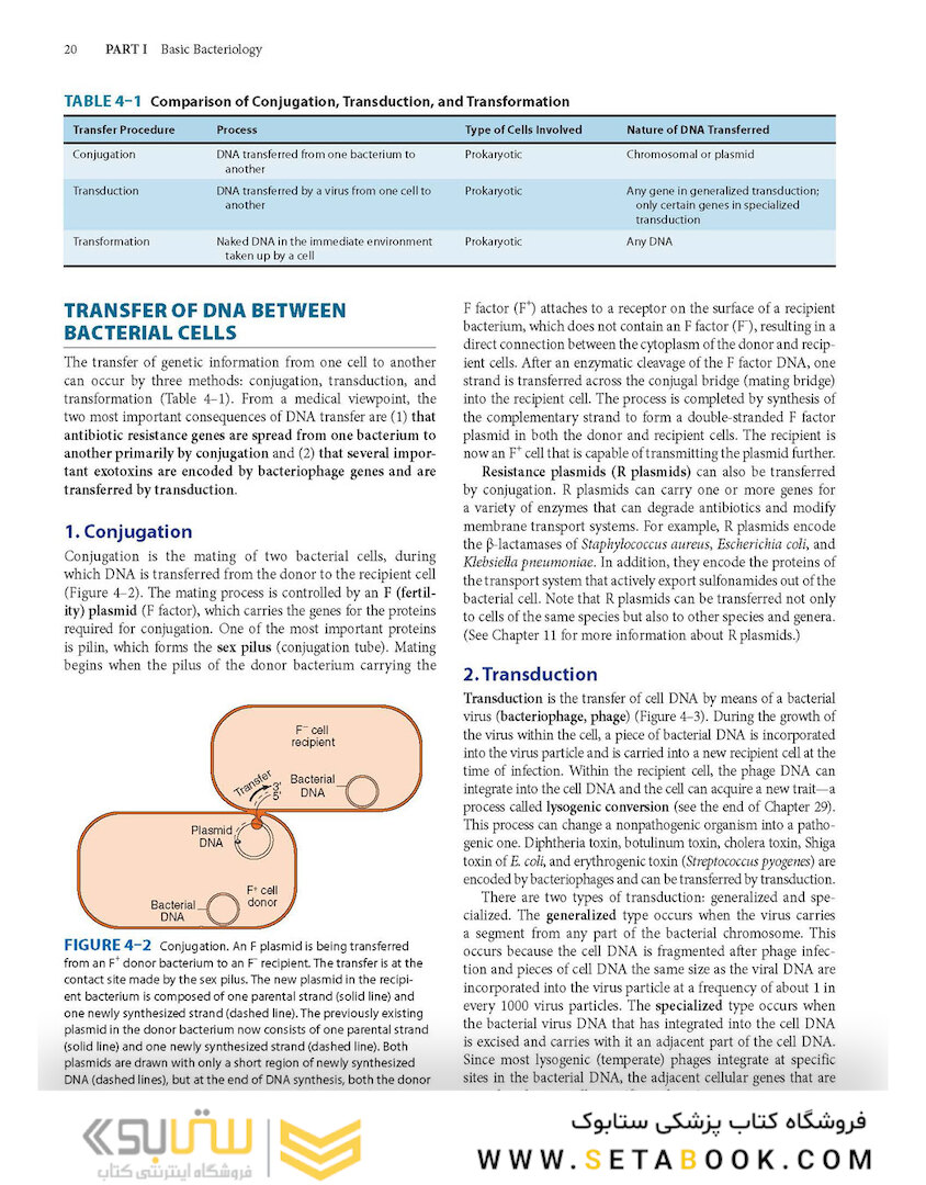 Review of Medical Microbiology and Immunology, Seventeenth Edition 17th Edicion
