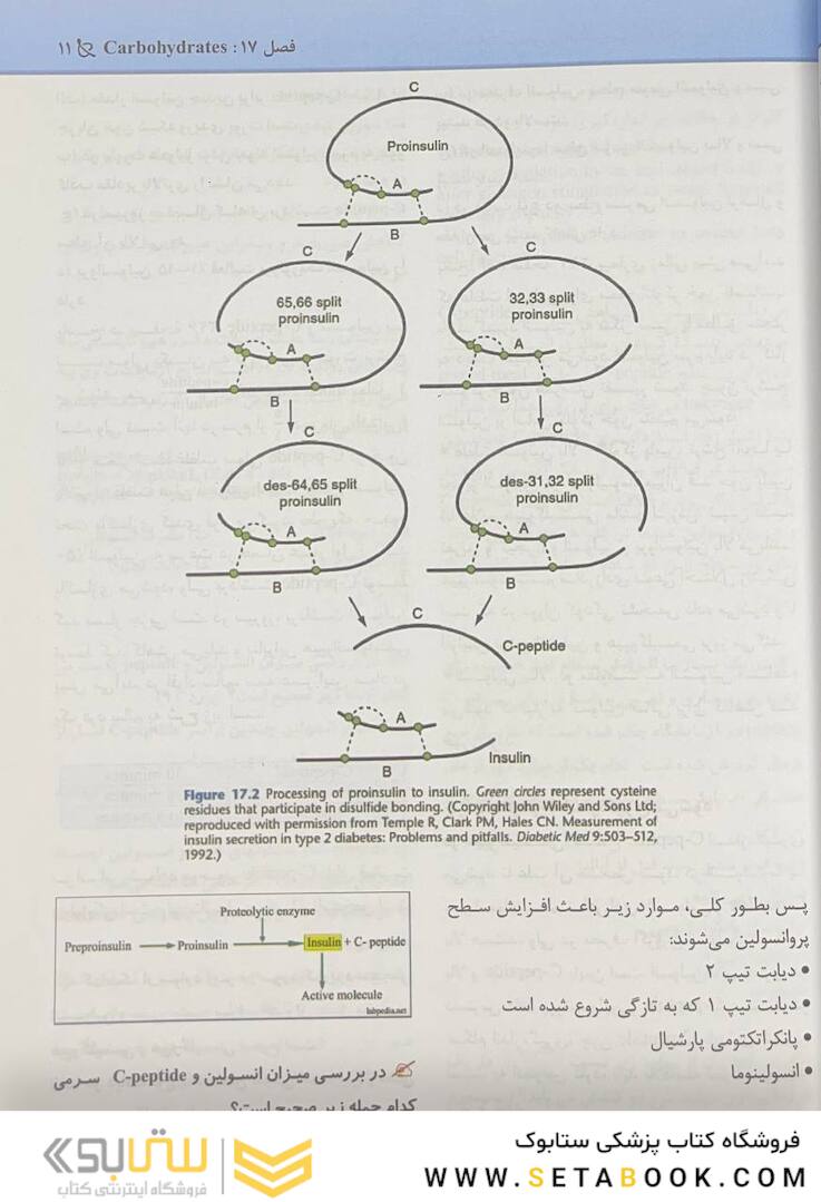 مجموعه سوالات پاتولوژی بالینی بر اساس هنری 2022 جلد4 بر اساس هنری 2022