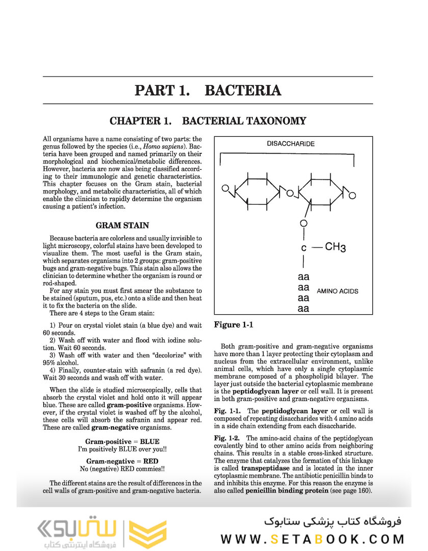 Clinical Microbiology Made Ridiculously Simple 8th Edicion