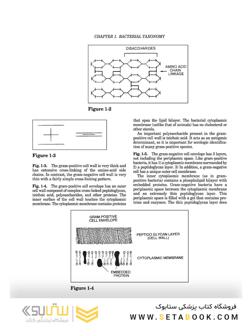 Clinical Microbiology Made Ridiculously Simple 8th Edicion